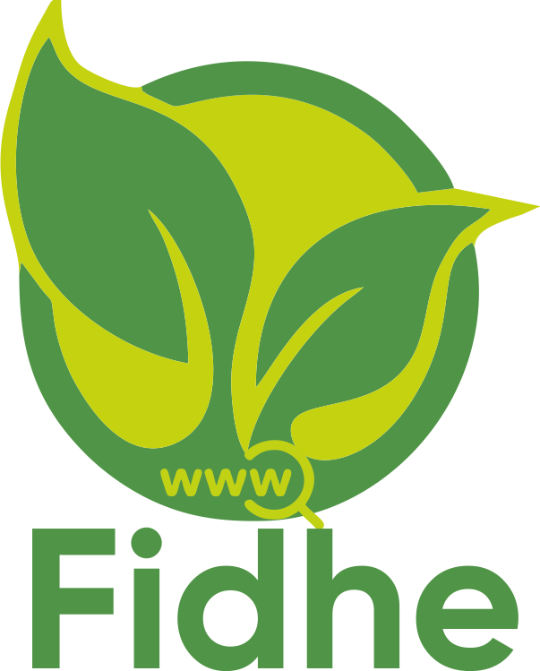 Fidhe E-Ticaret Yönetim Sistemi